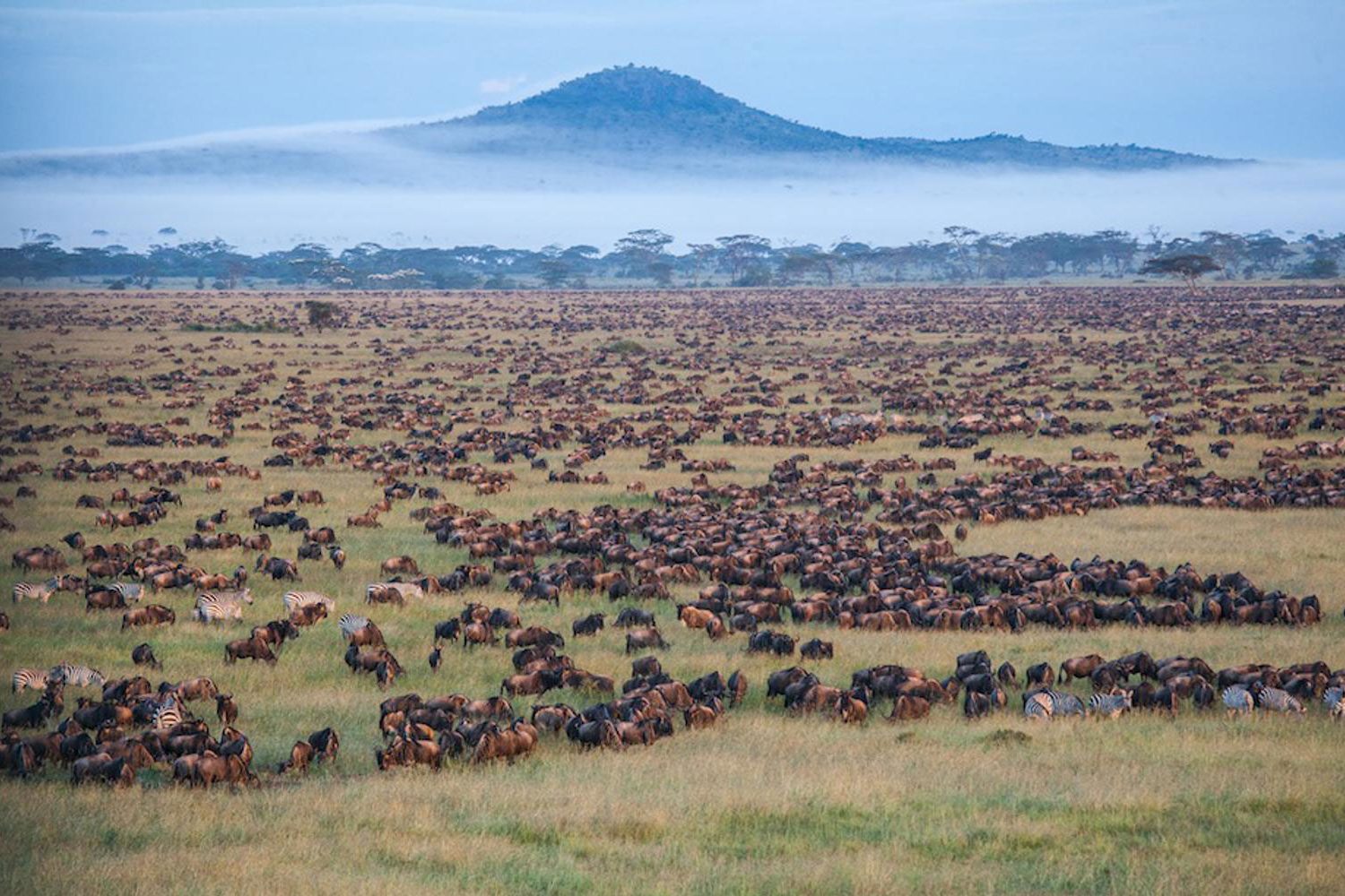 Kenya Safari Holiday