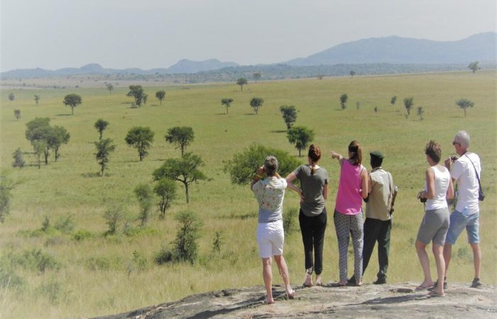 Uganda Safari Tour