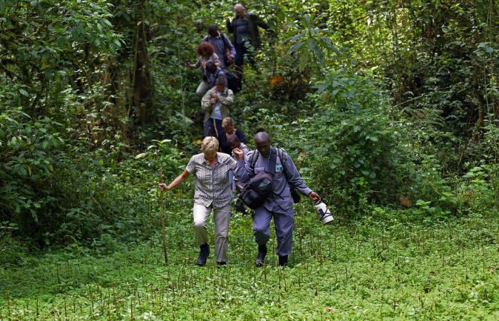 Uganda Gorilla Tour