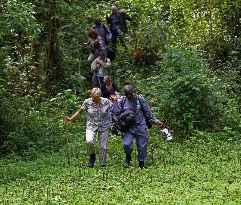 Uganda Gorilla Tour