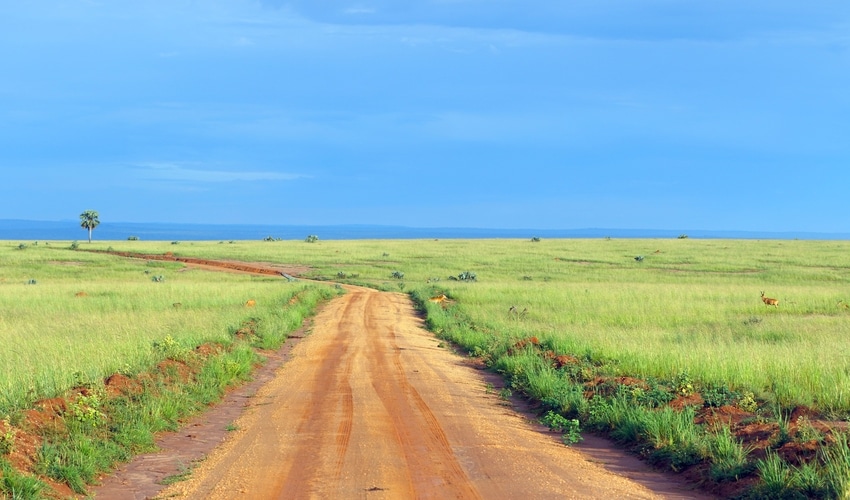murchison-falls-national-park Game drive Uganda