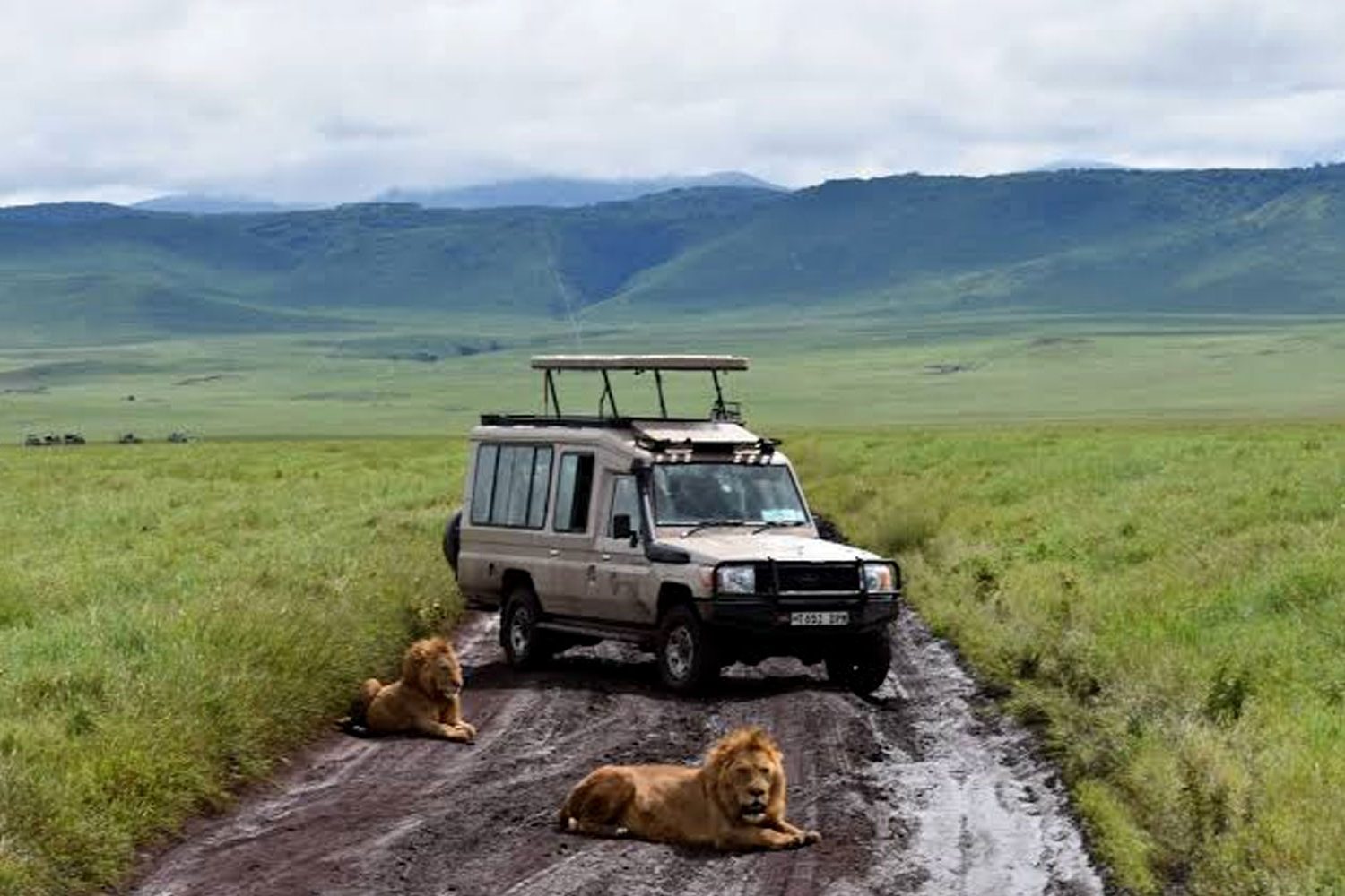 10-days-gorillas-and-kenya-wildlife-safari