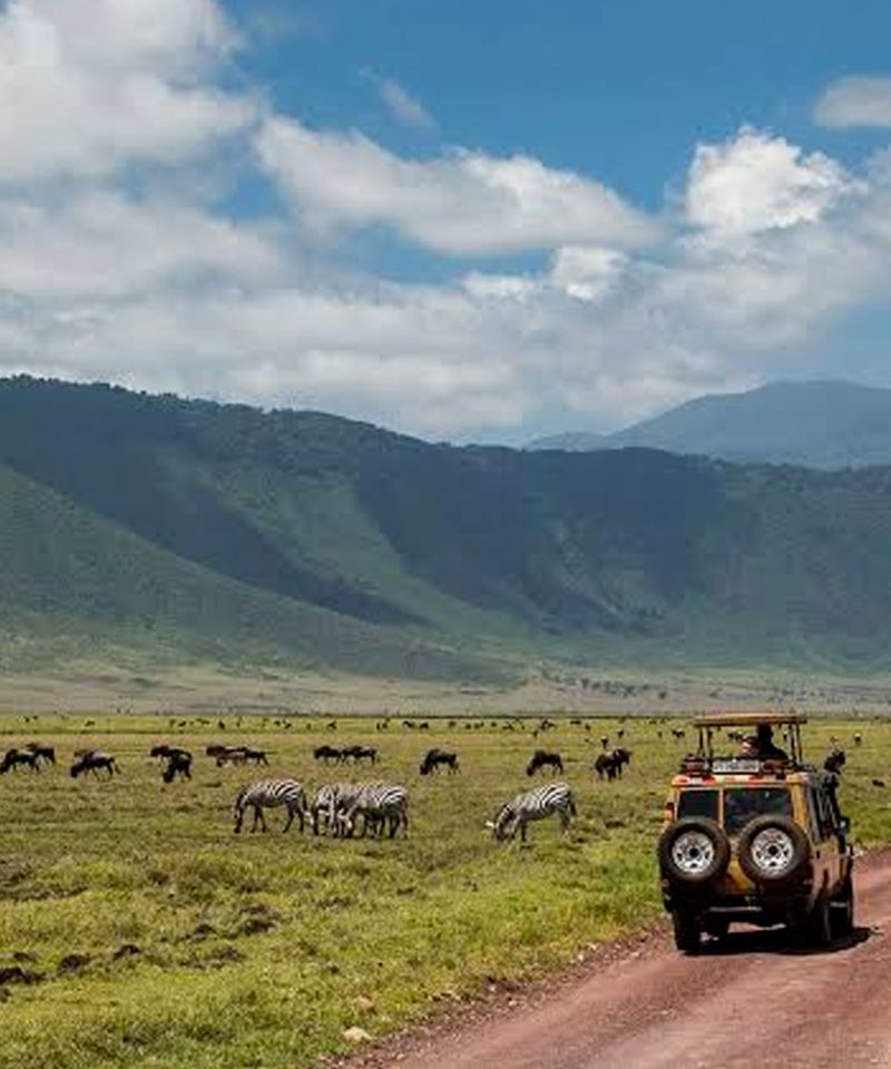 10-days-luxury-safari-tanzania