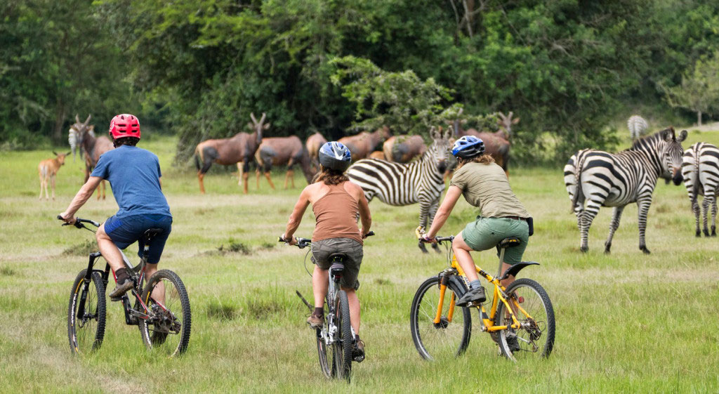 bike-tour-mburo Lake Mburo Bike Safari