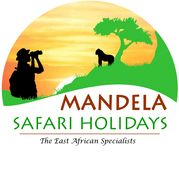 Mandela Safari Holidays Logo